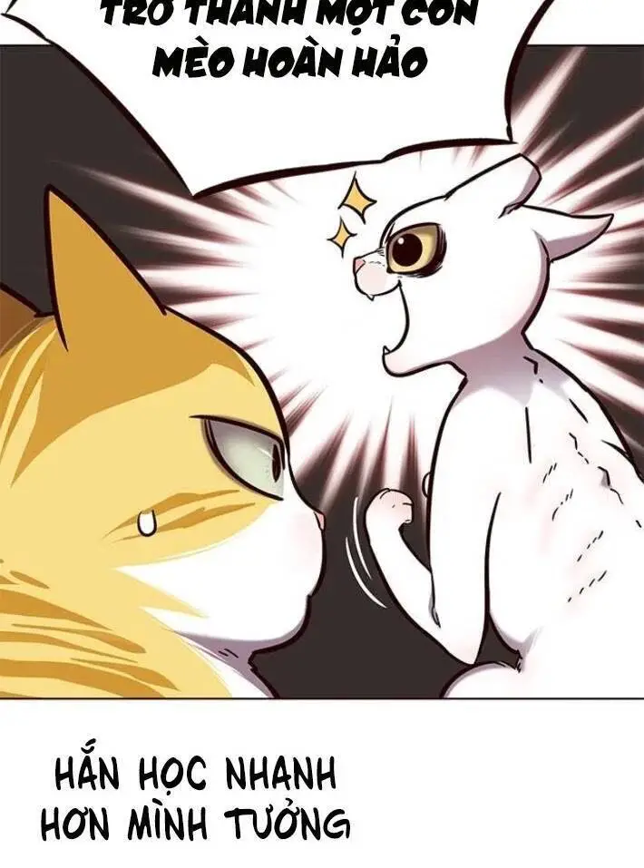 Hoá Thân Thành Mèo Nettruyen ZZZ Chương 141 Page 67