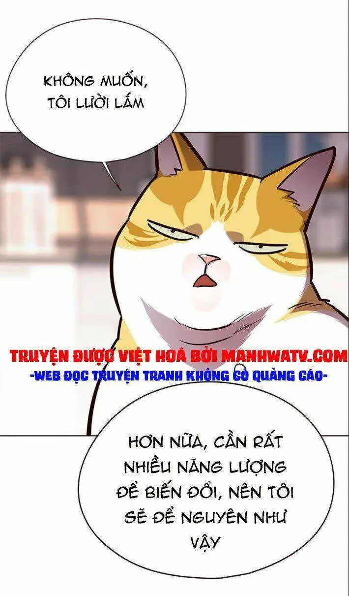 Hoá Thân Thành Mèo Nettruyen ZZZ Chương 139 Page 19