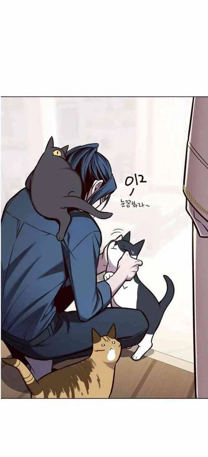 Hoá Thân Thành Mèo Nettruyen ZZZ Chương 138 Page 63