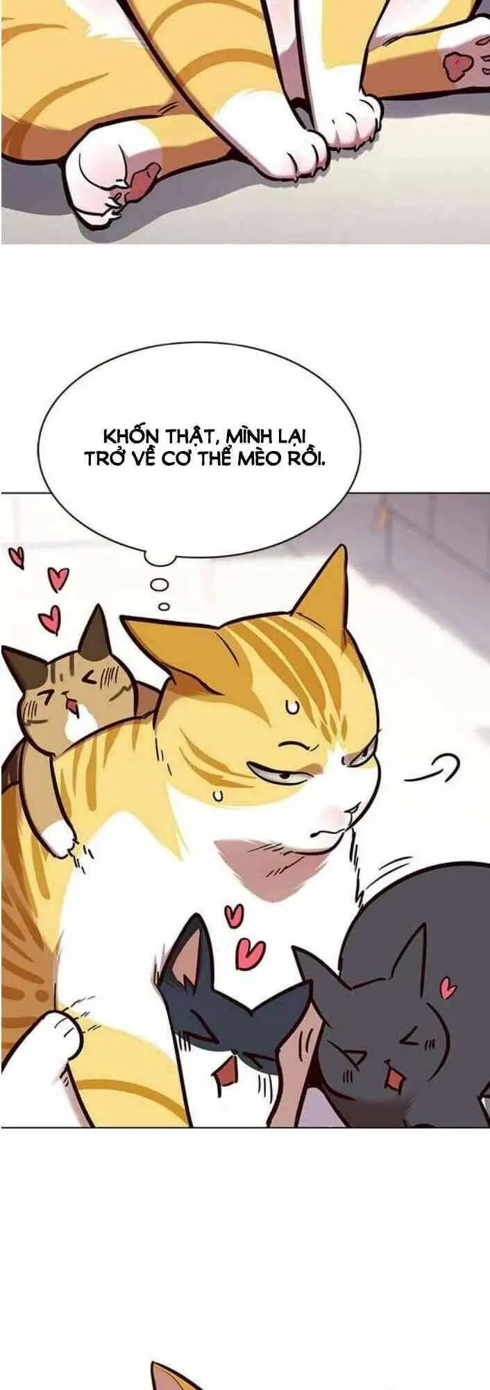 Hoá Thân Thành Mèo Nettruyen ZZZ Chương 138 Page 73