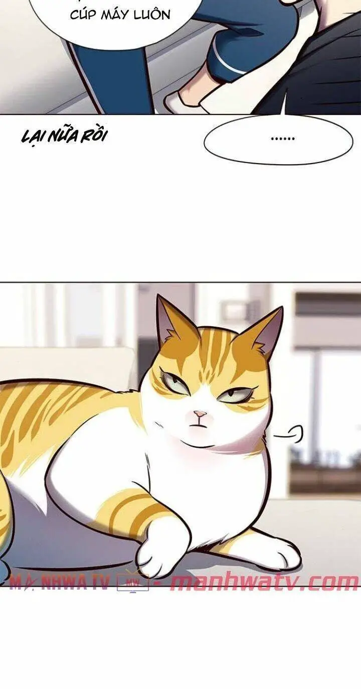 Hoá Thân Thành Mèo Nettruyen ZZZ Chương 124 Page 17