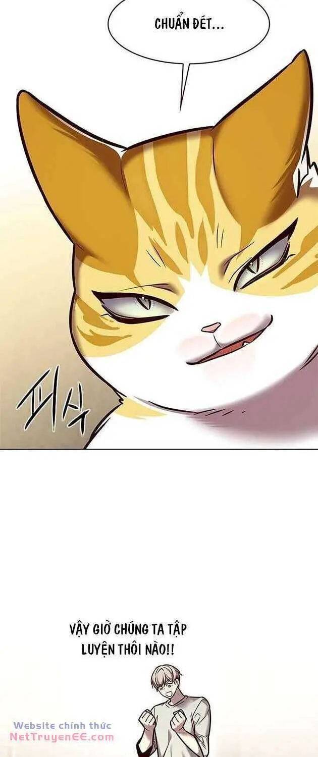 Hoá Thân Thành Mèo Nettruyen ZZZ Chương 283 Page 43