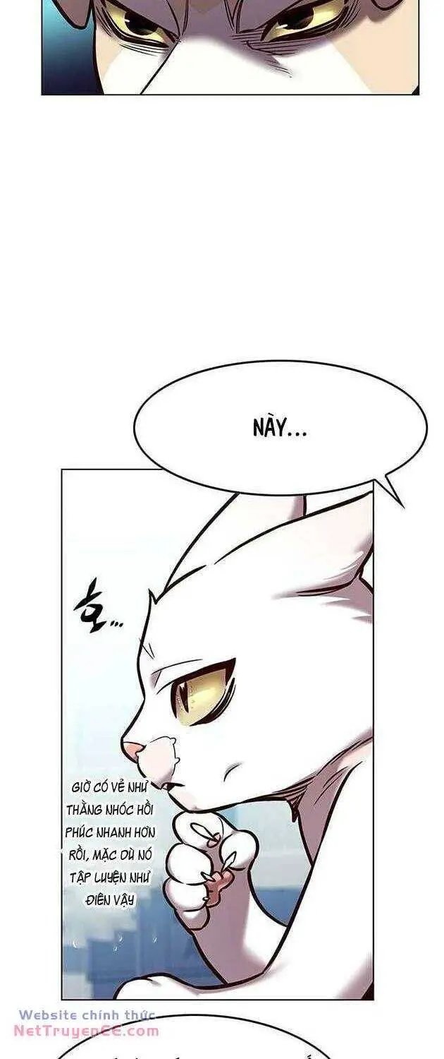 Hoá Thân Thành Mèo Nettruyen ZZZ Chương 283 Page 51