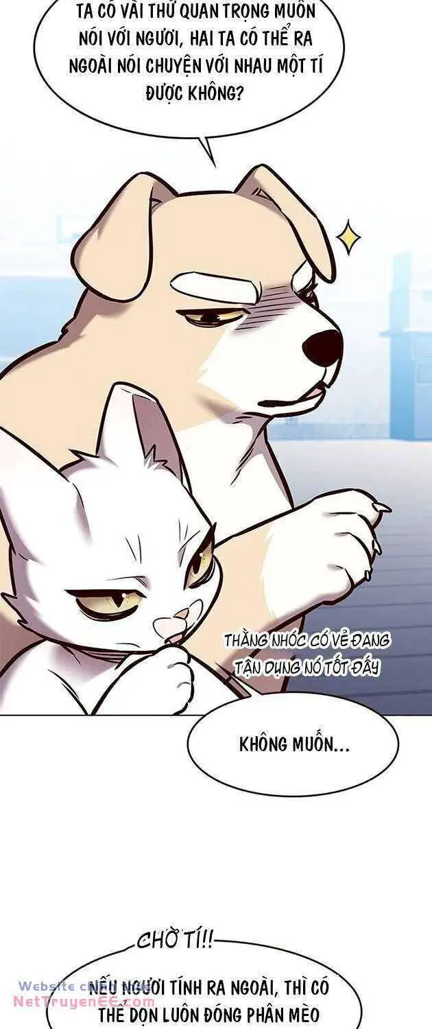 Hoá Thân Thành Mèo Nettruyen ZZZ Chương 283 Page 52