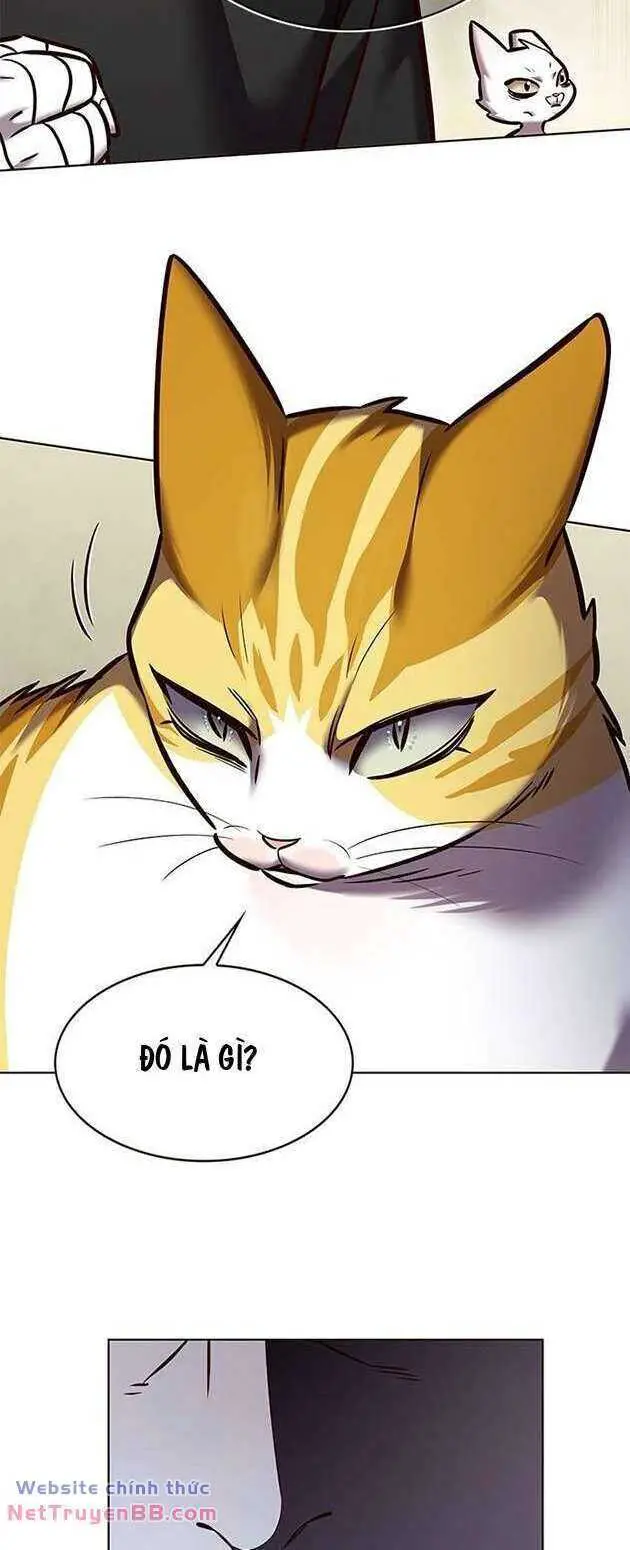 Hoá Thân Thành Mèo Nettruyen ZZZ Chương 283 Page 77