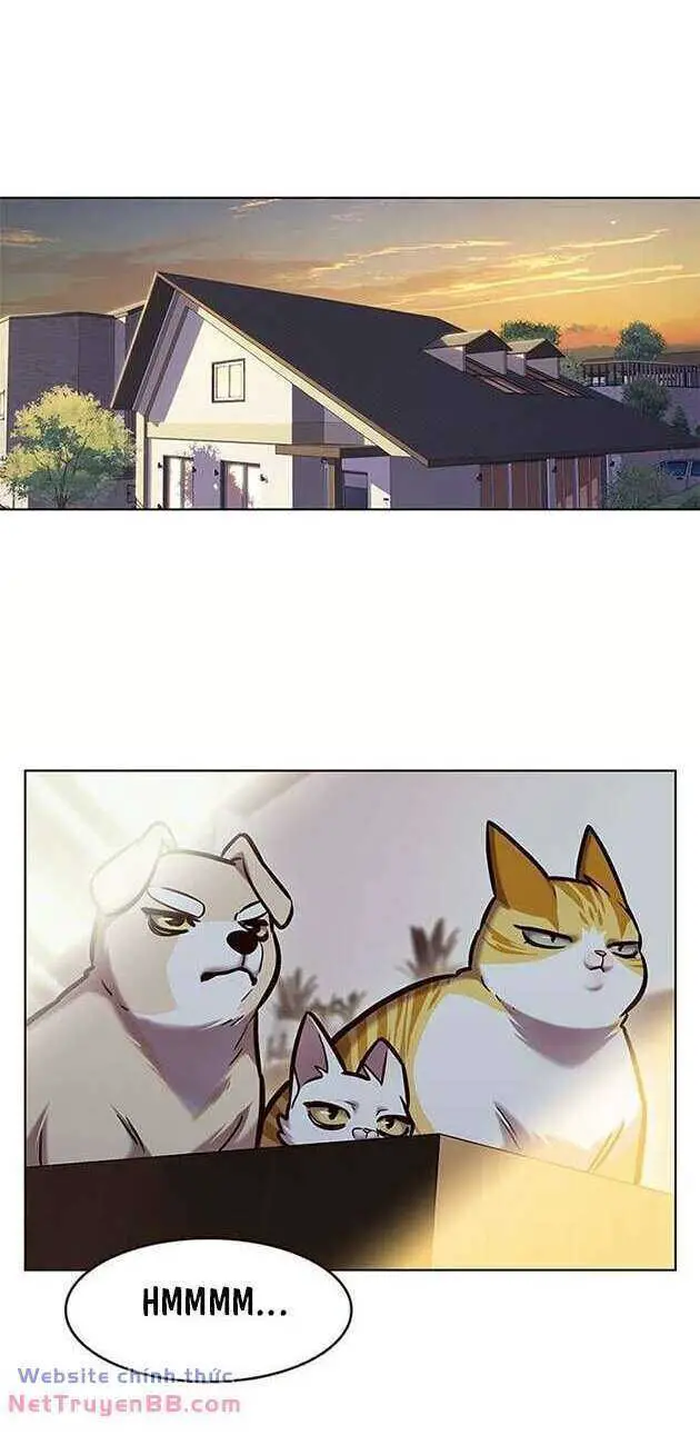 Hoá Thân Thành Mèo Nettruyen ZZZ Chương 282 Page 3