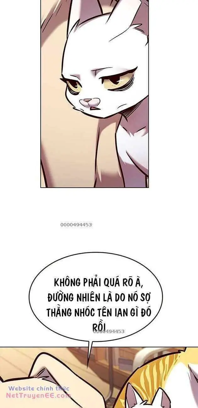 Hoá Thân Thành Mèo Nettruyen ZZZ Chương 282 Page 6