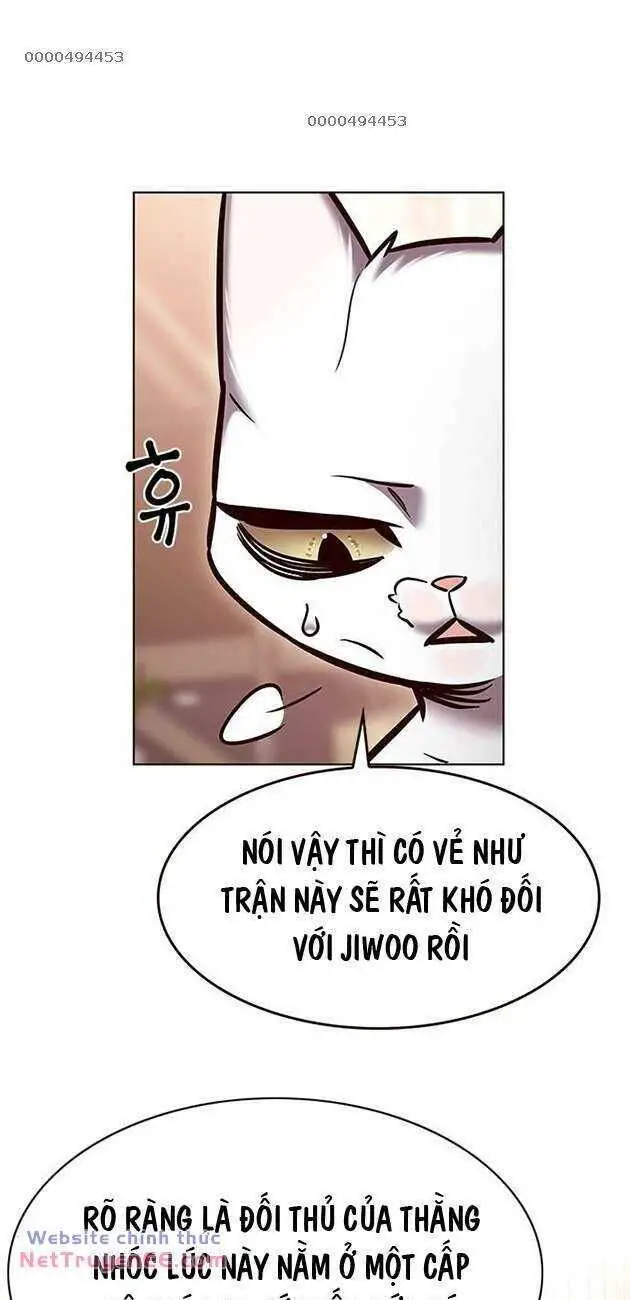 Hoá Thân Thành Mèo Nettruyen ZZZ Chương 282 Page 12