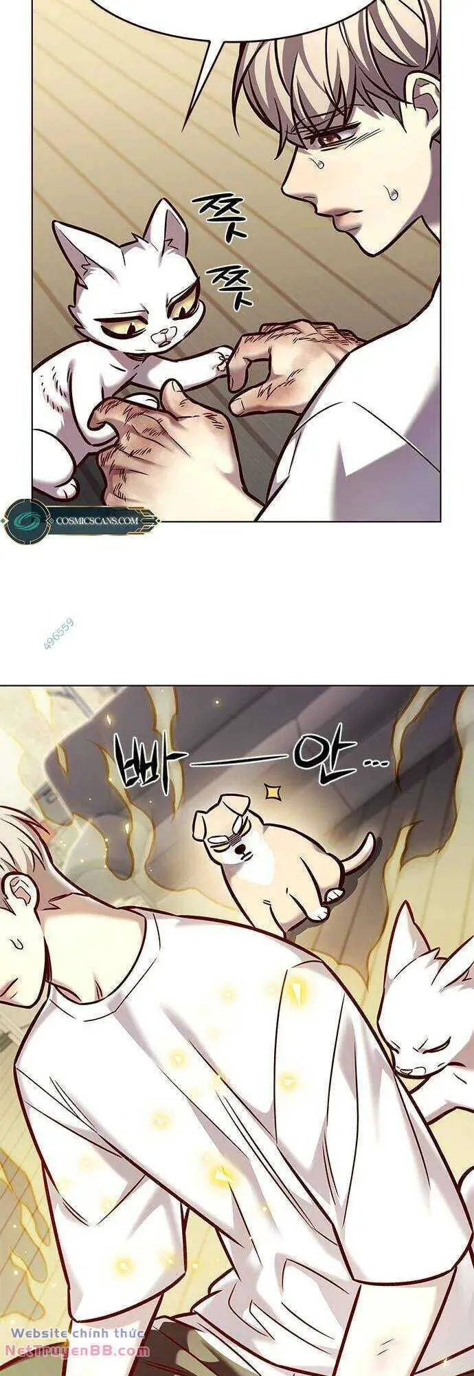 Hoá Thân Thành Mèo Nettruyen ZZZ Chương 284 Page 29