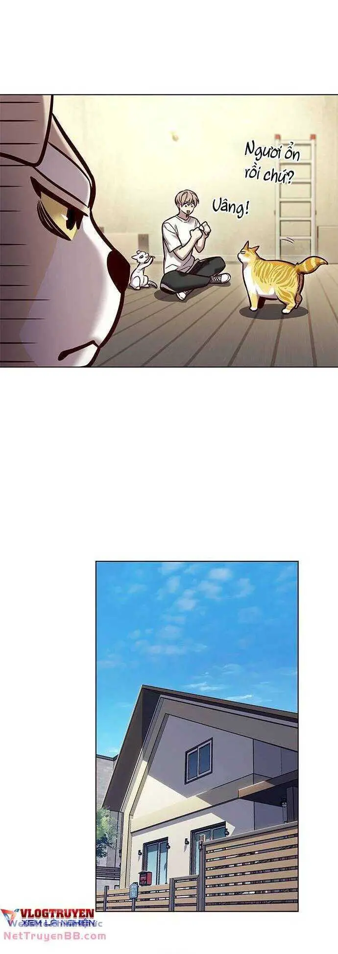 Hoá Thân Thành Mèo Nettruyen ZZZ Chương 284 Page 31