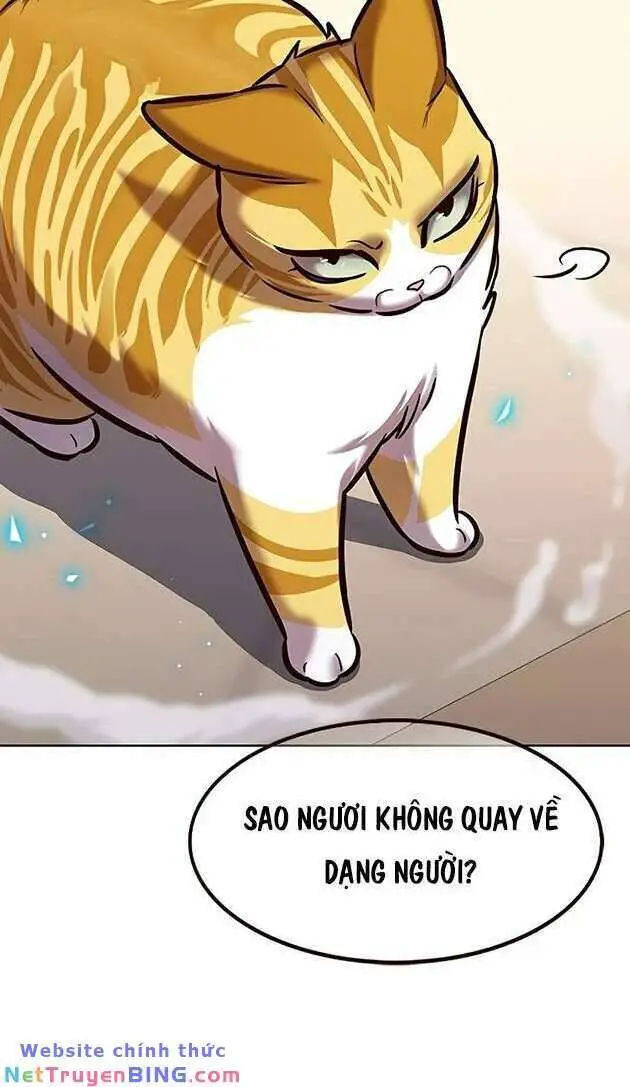 Hoá Thân Thành Mèo Nettruyen ZZZ Chương 278 Page 56