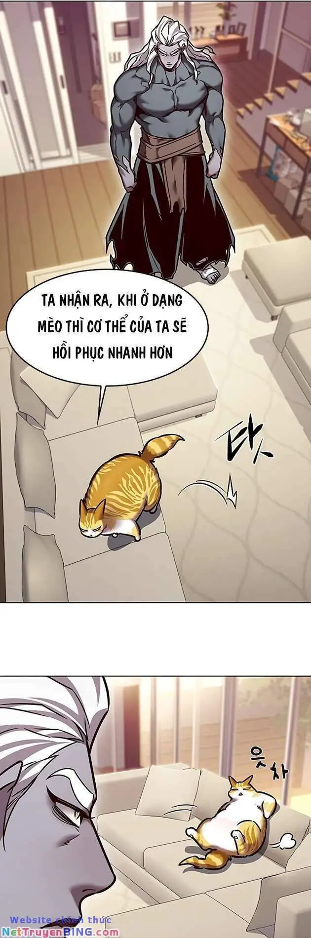 Hoá Thân Thành Mèo Nettruyen ZZZ Chương 278 Page 57