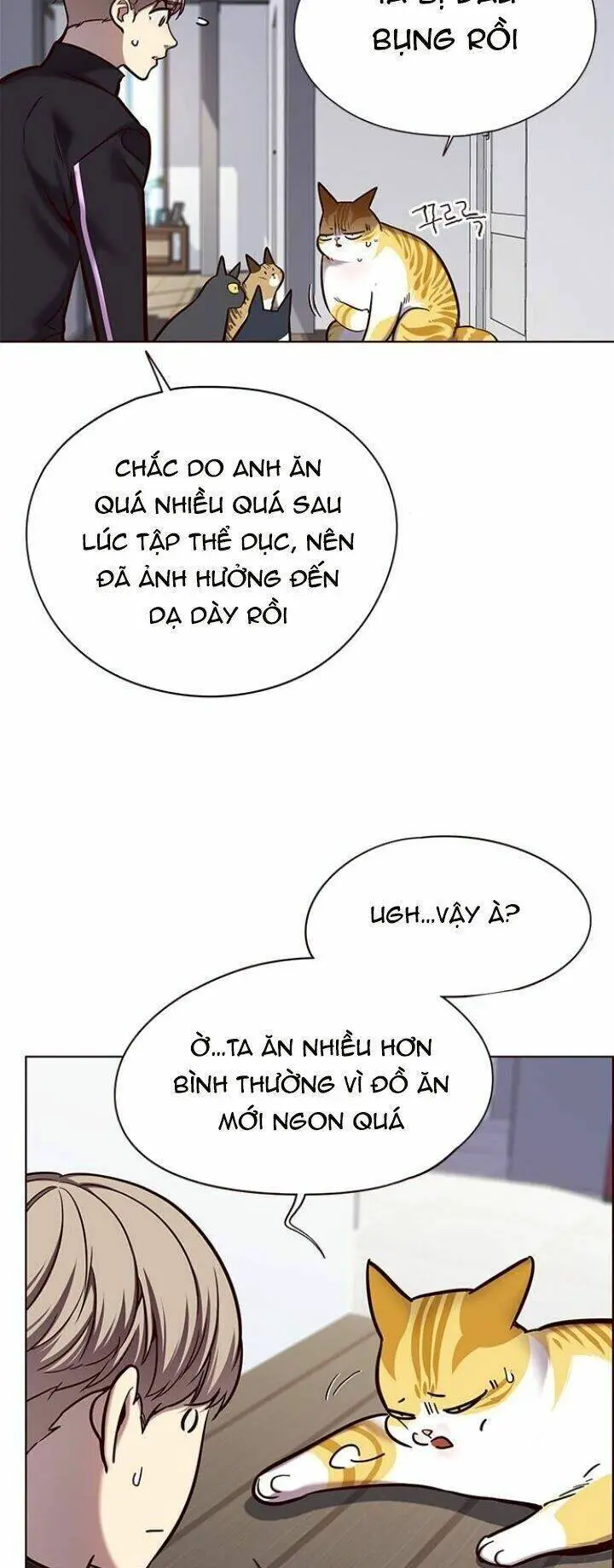 Hoá Thân Thành Mèo Nettruyen ZZZ Chương 119 Page 5