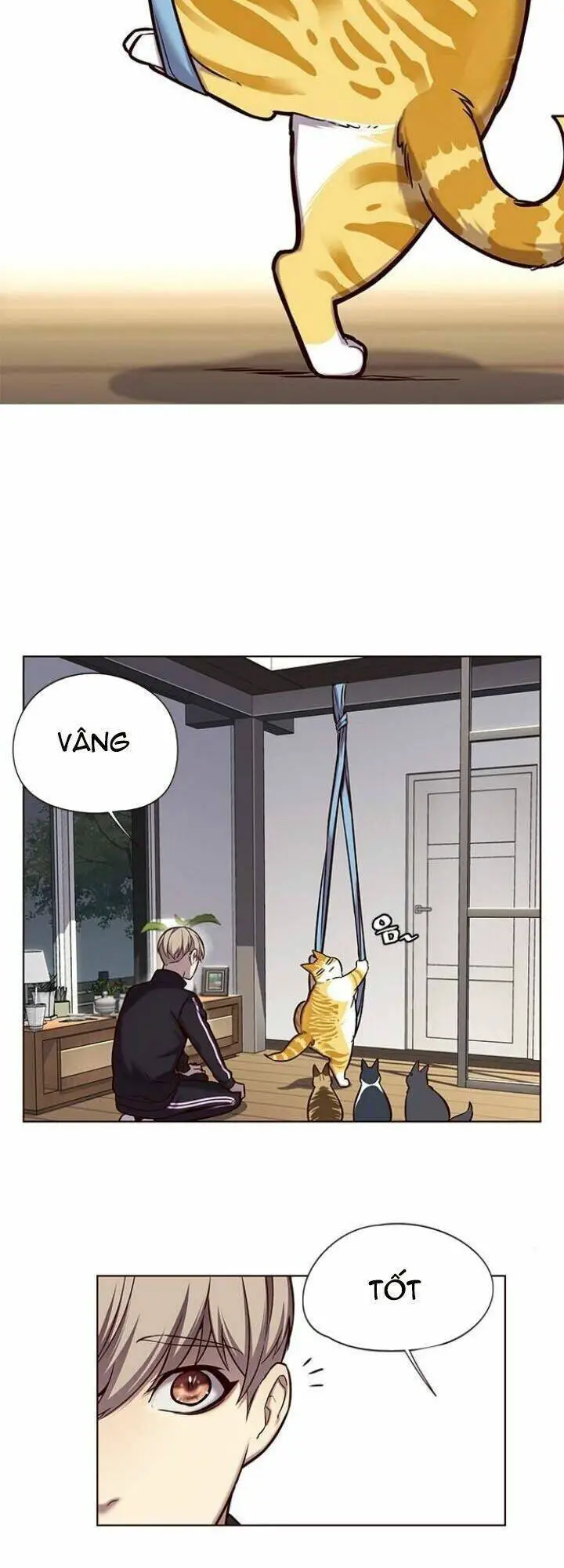 Hoá Thân Thành Mèo Nettruyen ZZZ Chương 118 Page 6