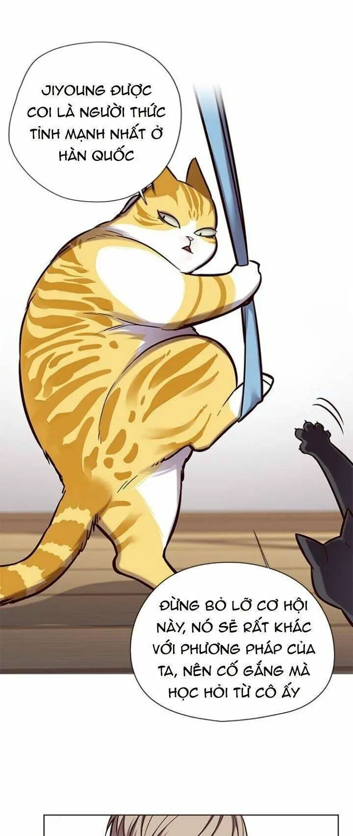 Hoá Thân Thành Mèo Nettruyen ZZZ Chương 118 Page 7