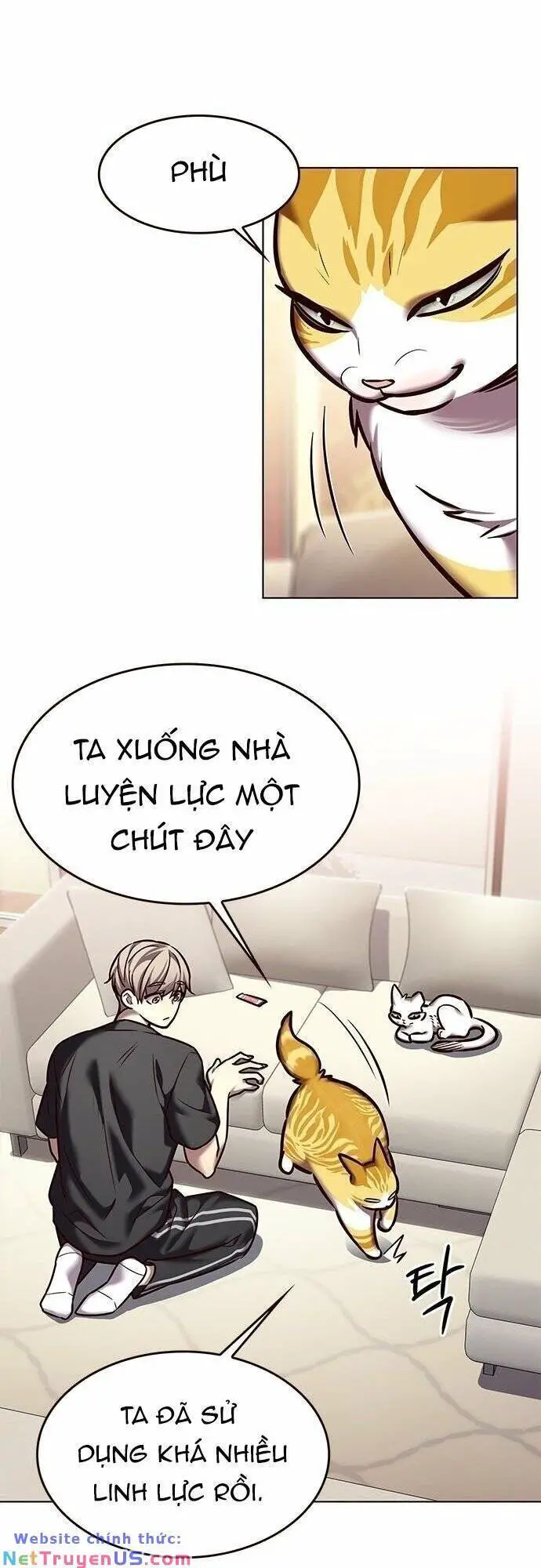 Hoá Thân Thành Mèo Nettruyen ZZZ Chương 275 Page 60