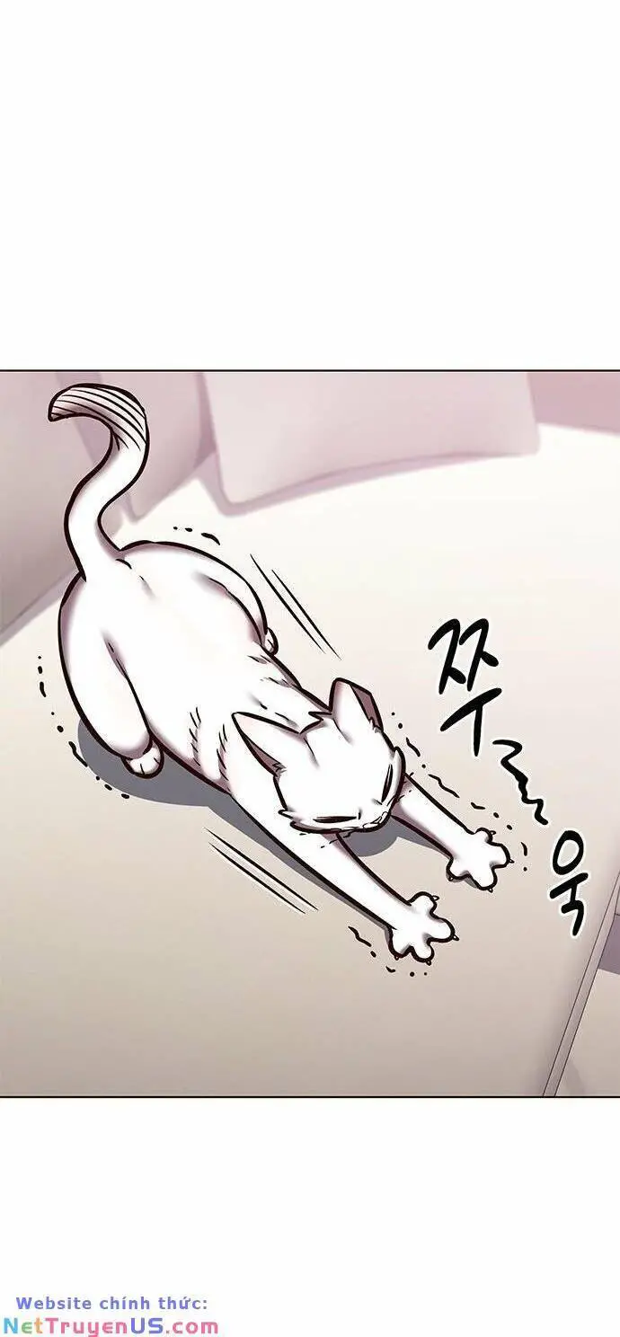 Hoá Thân Thành Mèo Nettruyen ZZZ Chương 275 Page 62