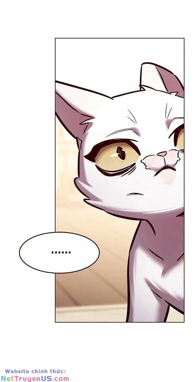 Hoá Thân Thành Mèo Nettruyen ZZZ Chương 275 Page 65