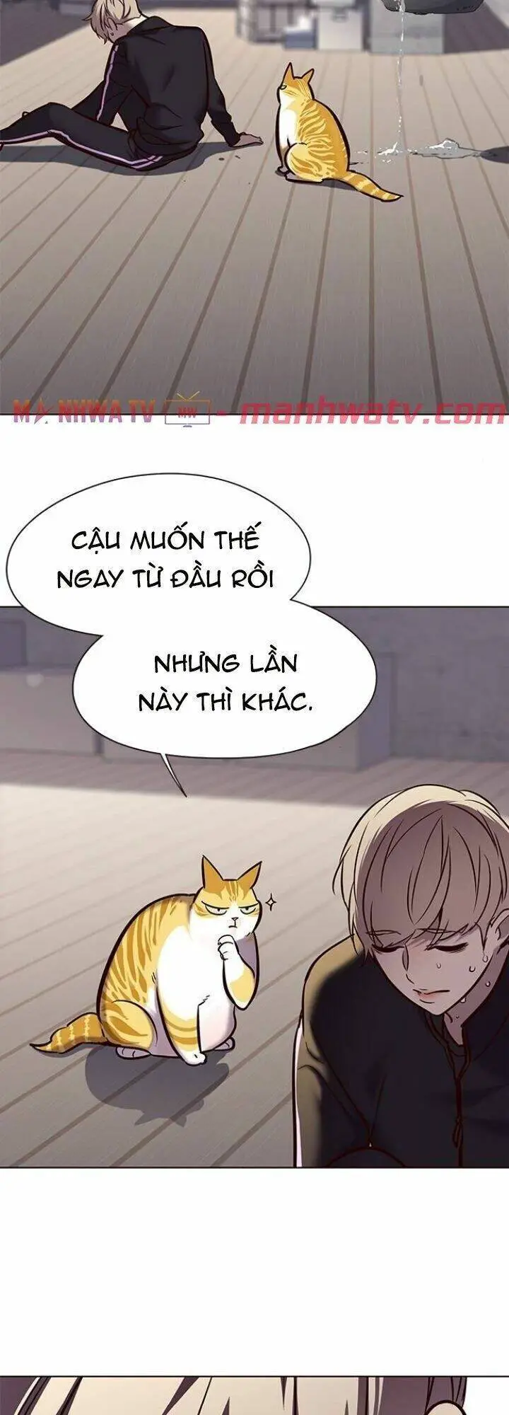 Hoá Thân Thành Mèo Nettruyen ZZZ Chương 116 Page 7
