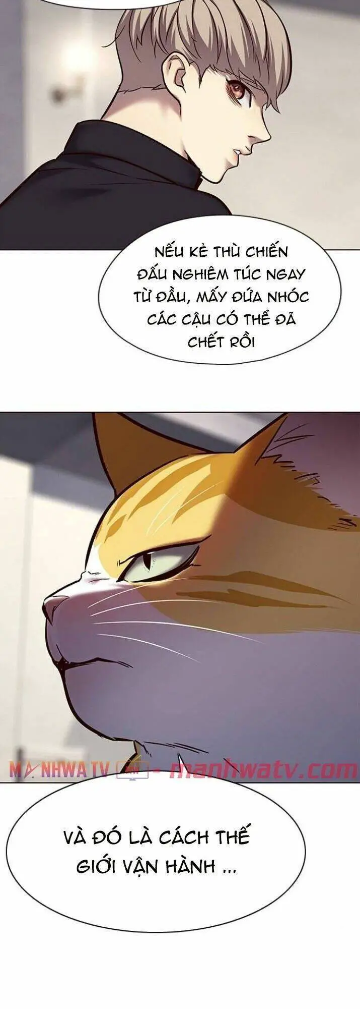 Hoá Thân Thành Mèo Nettruyen ZZZ Chương 116 Page 18