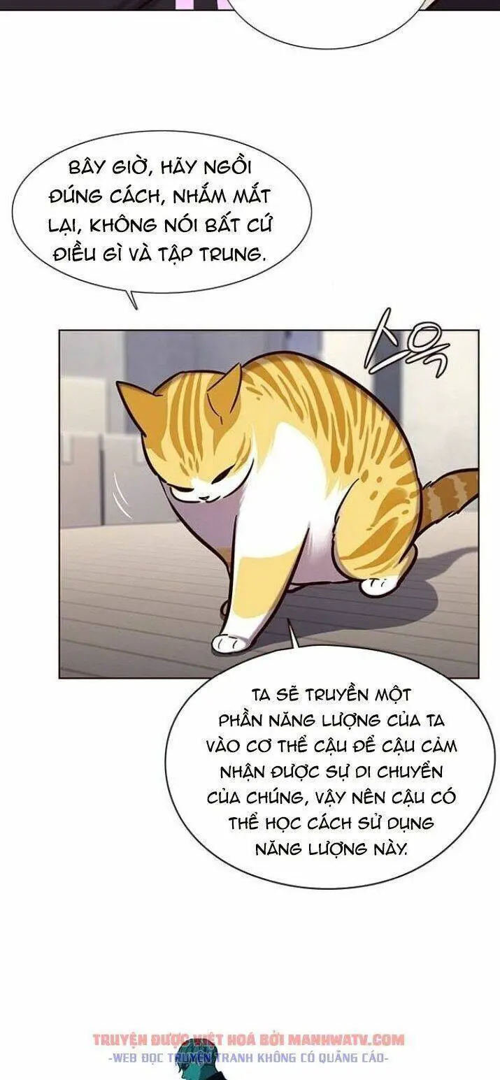 Hoá Thân Thành Mèo Nettruyen ZZZ Chương 116 Page 21