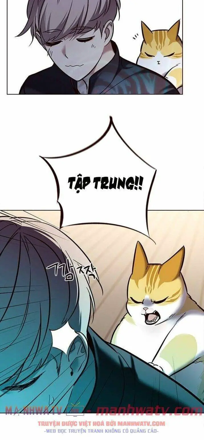 Hoá Thân Thành Mèo Nettruyen ZZZ Chương 116 Page 25