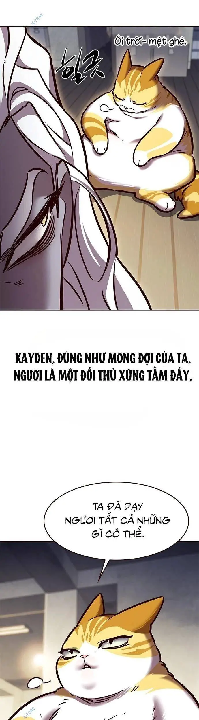 Hoá Thân Thành Mèo Nettruyen ZZZ Chương 279 Page 6