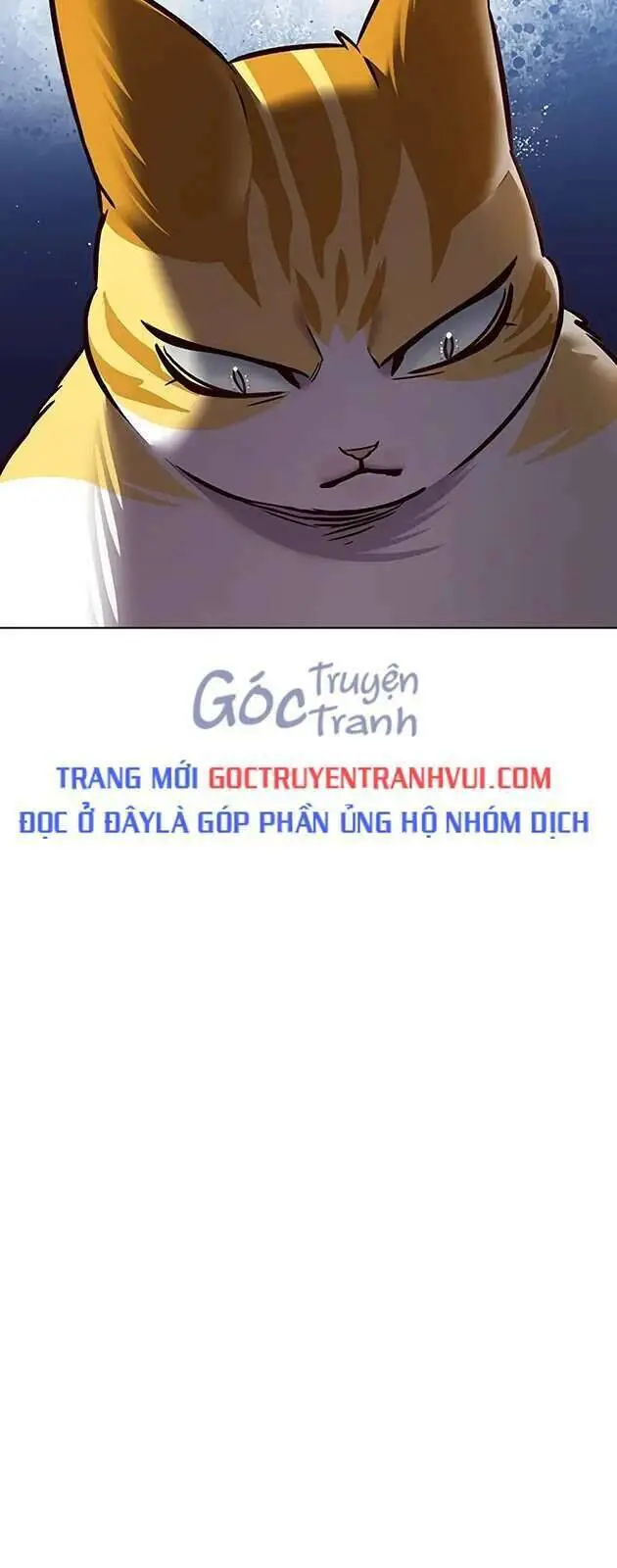 Hoá Thân Thành Mèo Nettruyen ZZZ Chương 270 Page 23