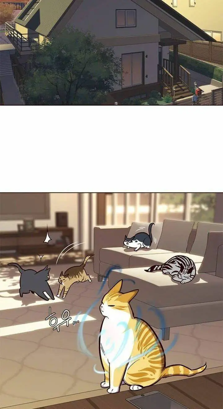 Hoá Thân Thành Mèo Nettruyen ZZZ Chương 106 Page 47