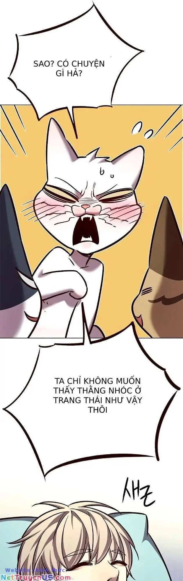 Hoá Thân Thành Mèo Nettruyen ZZZ Chương 262 Page 60
