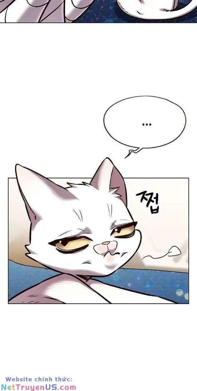 Hoá Thân Thành Mèo Nettruyen ZZZ Chương 263 Page 6