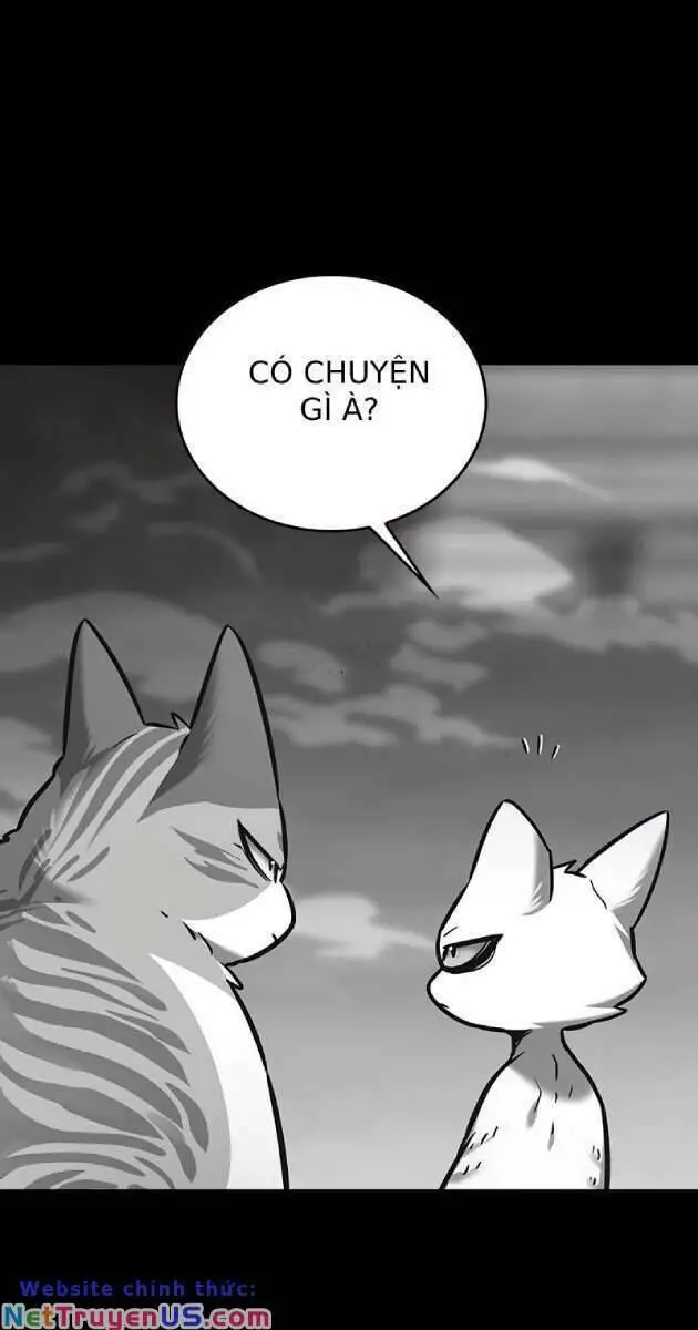 Hoá Thân Thành Mèo Nettruyen ZZZ Chương 261 Page 7