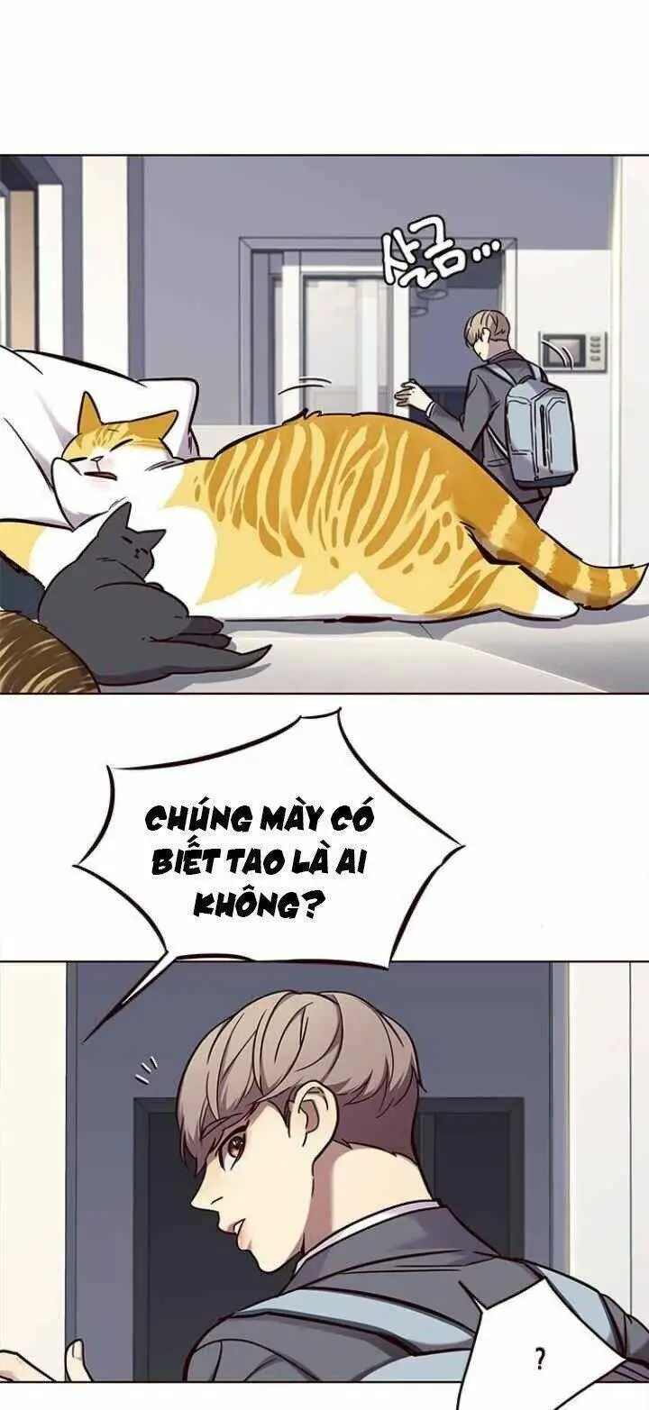 Hoá Thân Thành Mèo Nettruyen ZZZ Chương 100 Page 4