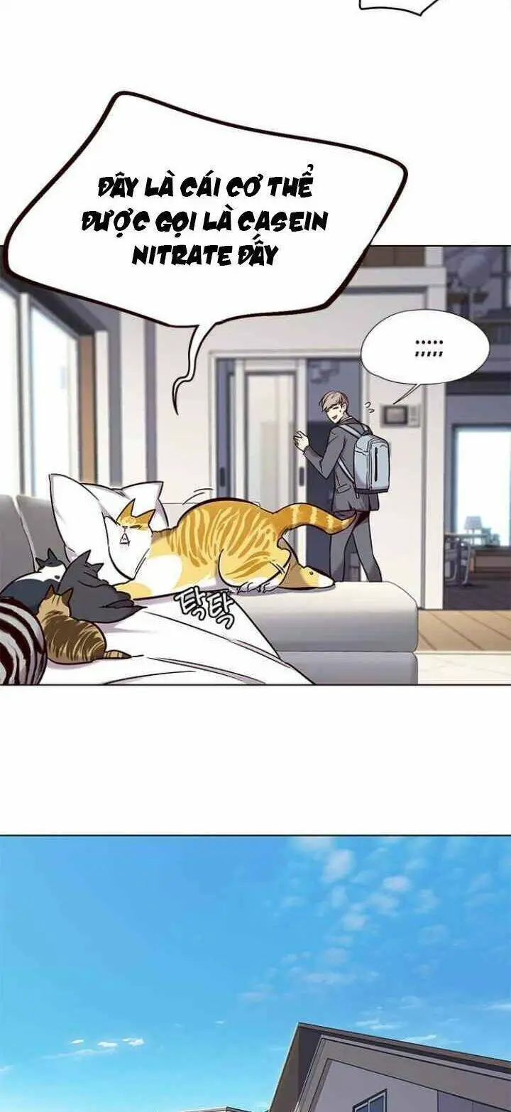 Hoá Thân Thành Mèo Nettruyen ZZZ Chương 100 Page 5