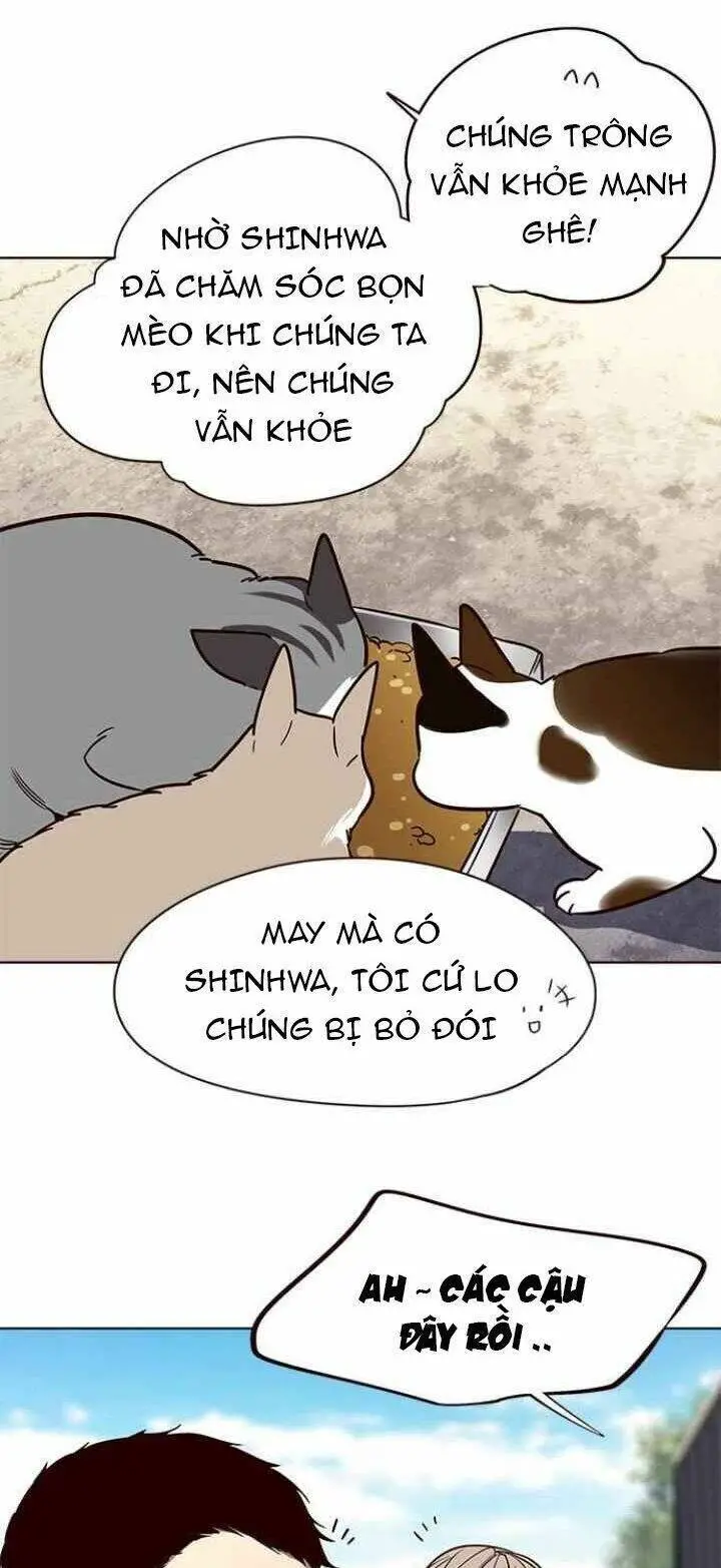 Hoá Thân Thành Mèo Nettruyen ZZZ Chương 100 Page 11