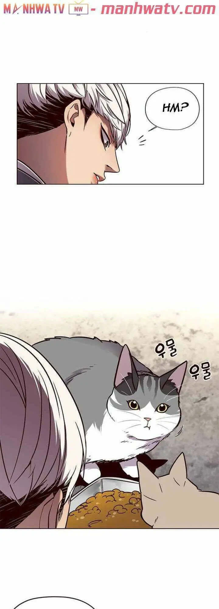 Hoá Thân Thành Mèo Nettruyen ZZZ Chương 100 Page 15