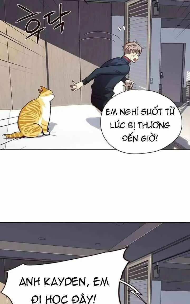 Hoá Thân Thành Mèo Nettruyen ZZZ Chương 95 Page 32