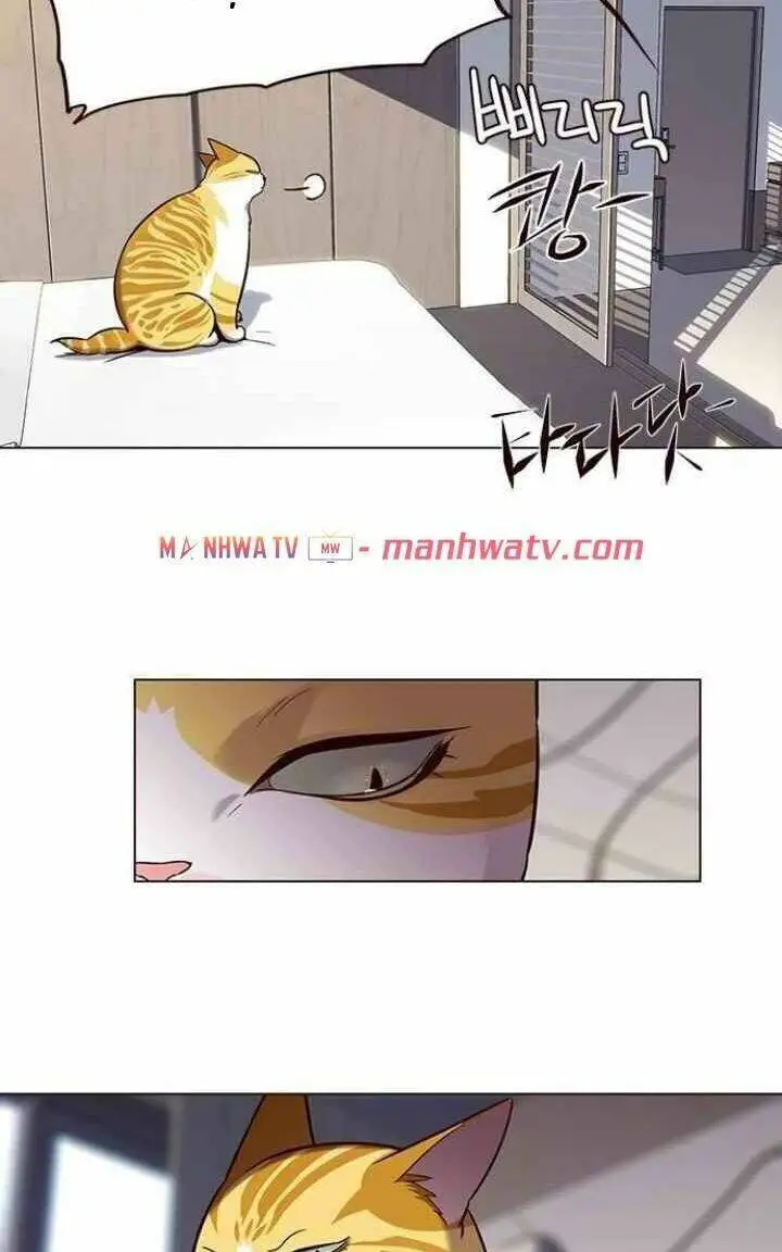 Hoá Thân Thành Mèo Nettruyen ZZZ Chương 95 Page 33