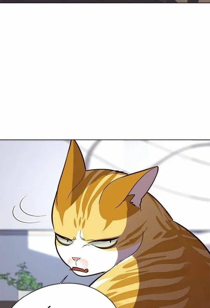 Hoá Thân Thành Mèo Nettruyen ZZZ Chương 90 Page 4