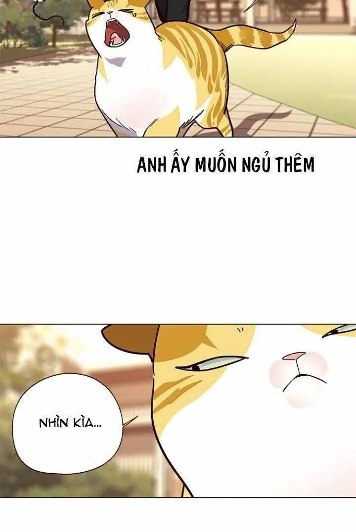Hoá Thân Thành Mèo Nettruyen ZZZ Chương 90 Page 40