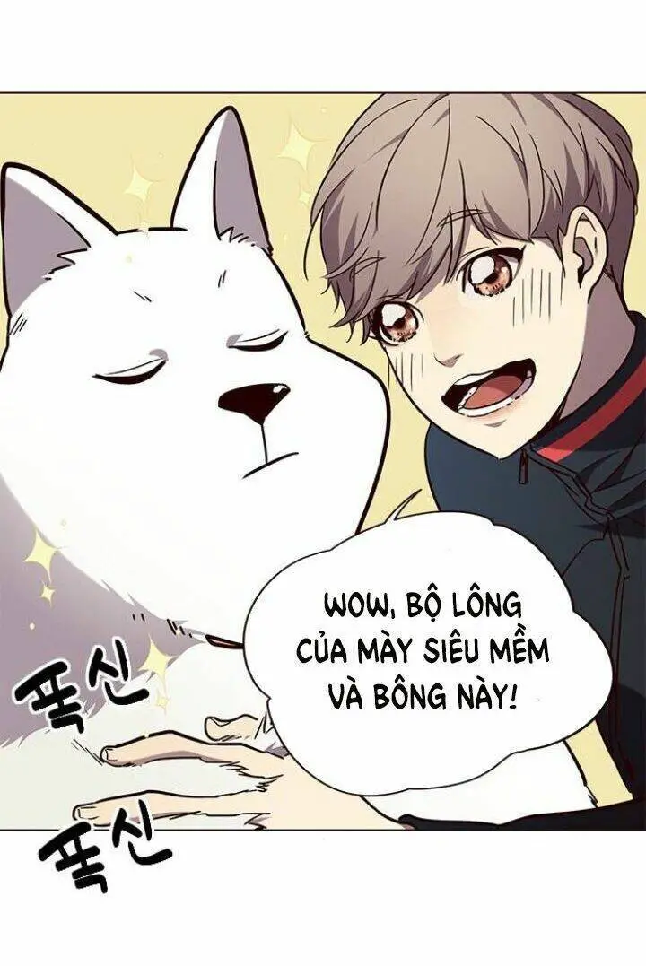 Hoá Thân Thành Mèo Nettruyen ZZZ Chương 90 Page 49