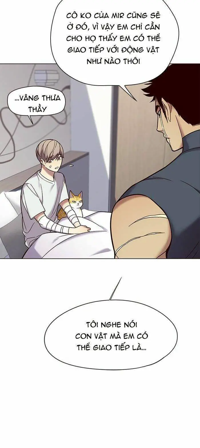 Hoá Thân Thành Mèo Nettruyen ZZZ Chương 89 Page 14