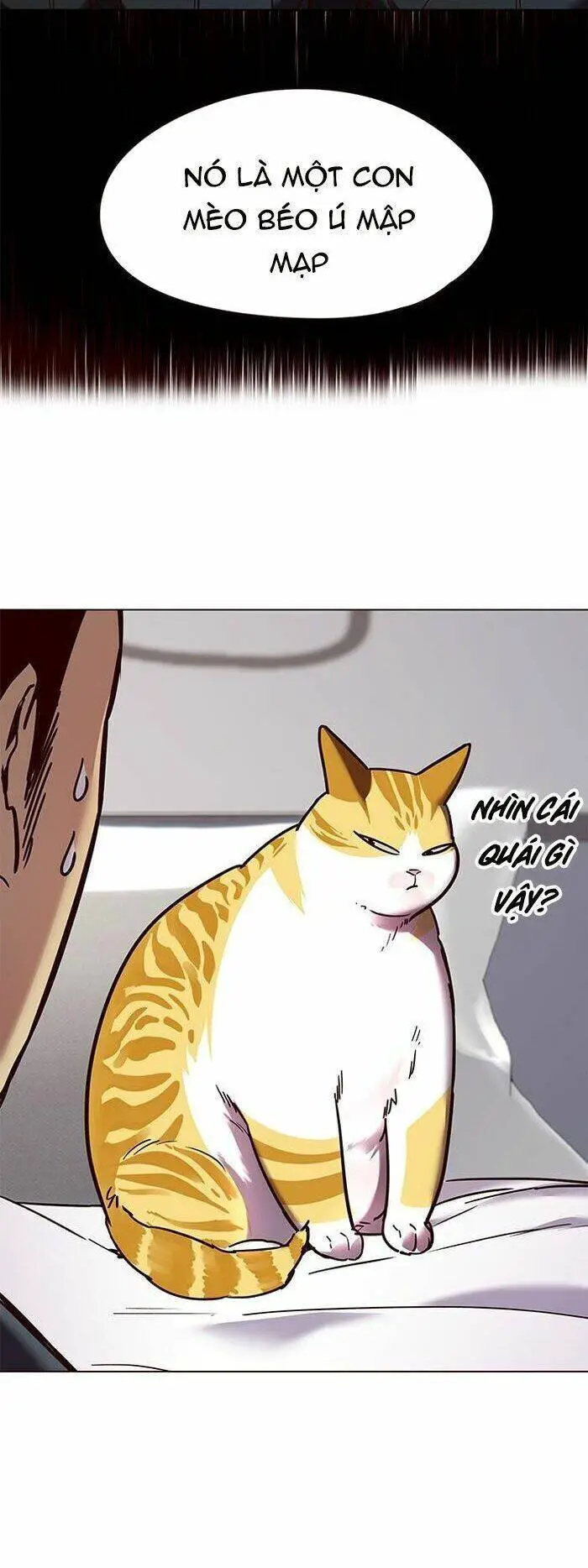 Hoá Thân Thành Mèo Nettruyen ZZZ Chương 89 Page 18