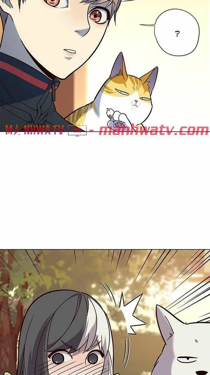 Hoá Thân Thành Mèo Nettruyen ZZZ Chương 89 Page 26