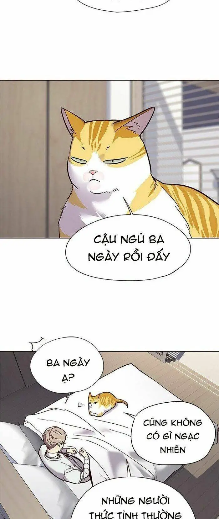 Hoá Thân Thành Mèo Nettruyen ZZZ Chương 88 Page 12