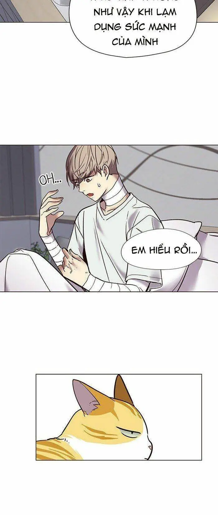 Hoá Thân Thành Mèo Nettruyen ZZZ Chương 88 Page 13