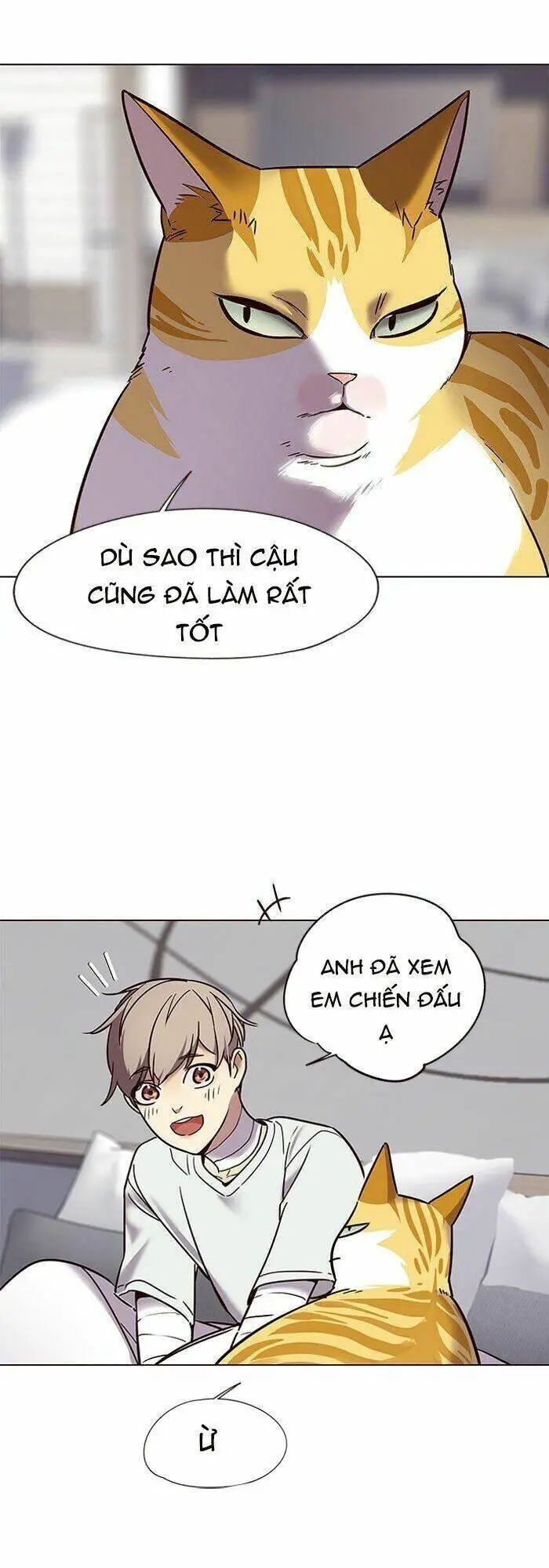 Hoá Thân Thành Mèo Nettruyen ZZZ Chương 88 Page 14