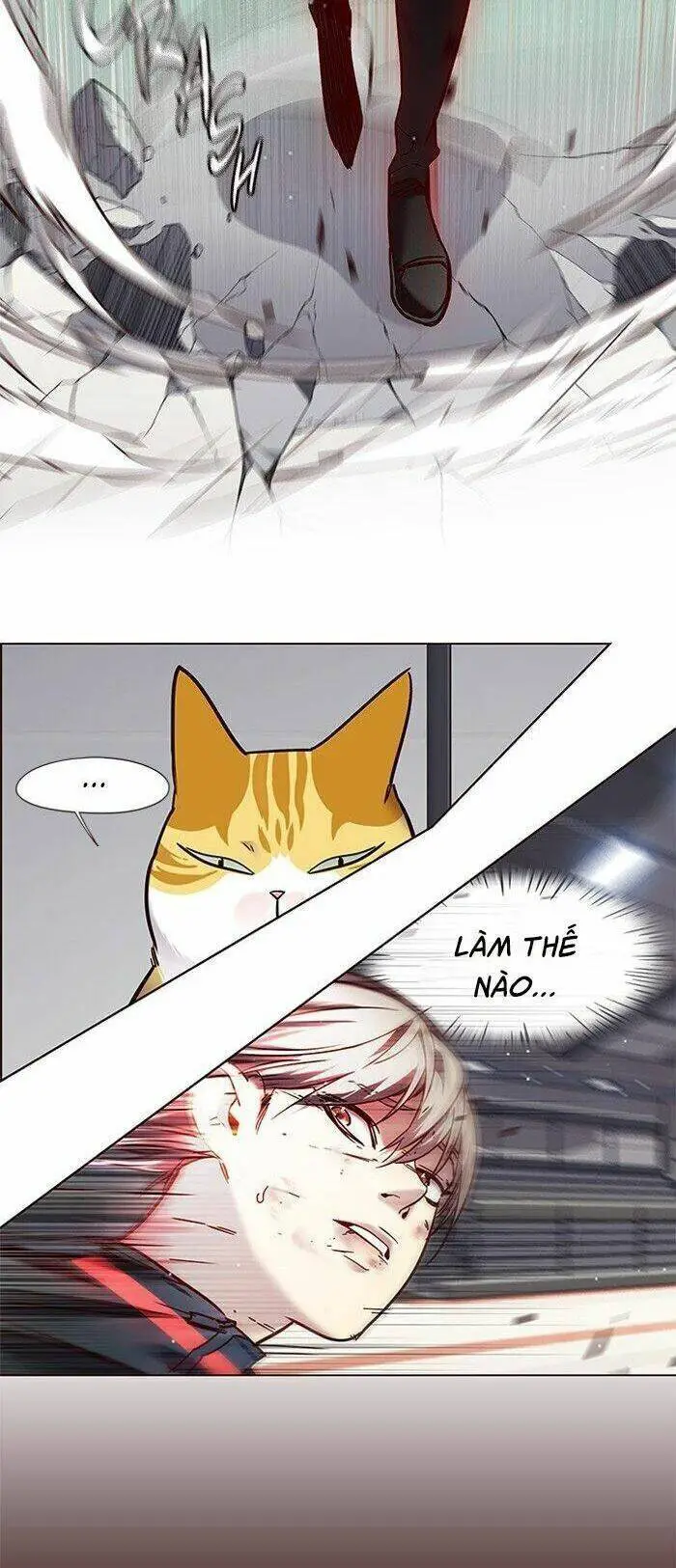 Hoá Thân Thành Mèo Nettruyen ZZZ Chương 87 Page 39