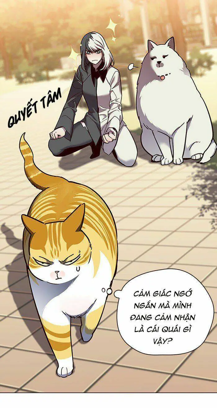 Hoá Thân Thành Mèo Nettruyen ZZZ Chương 81 Page 11