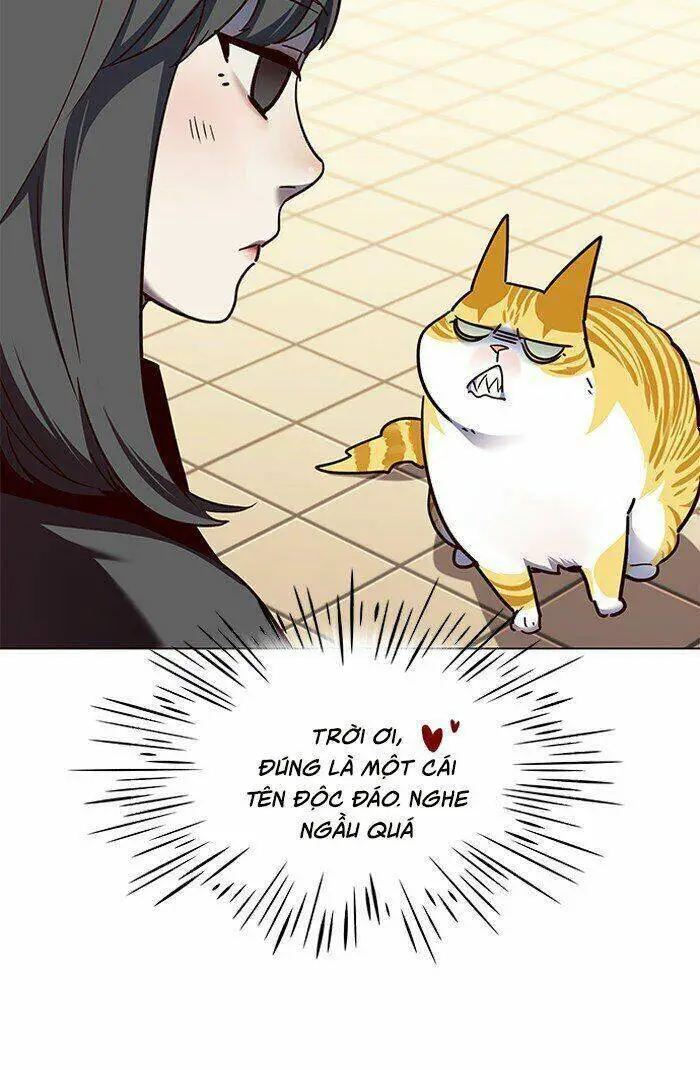Hoá Thân Thành Mèo Nettruyen ZZZ Chương 81 Page 22